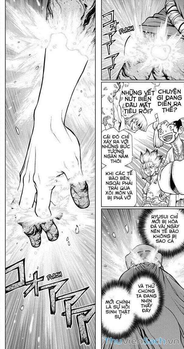 Truyện Tranh Dr. Stone - Hồi Sinh Thế Giới trang 3