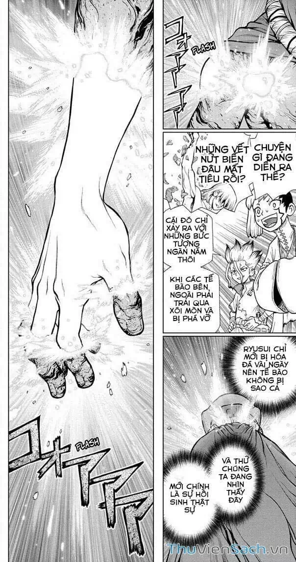 Truyện Tranh Dr. Stone - Hồi Sinh Thế Giới trang 3