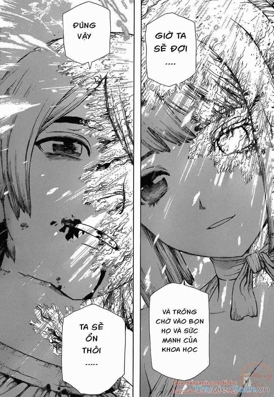 Truyện Tranh Dr. Stone - Hồi Sinh Thế Giới trang 3