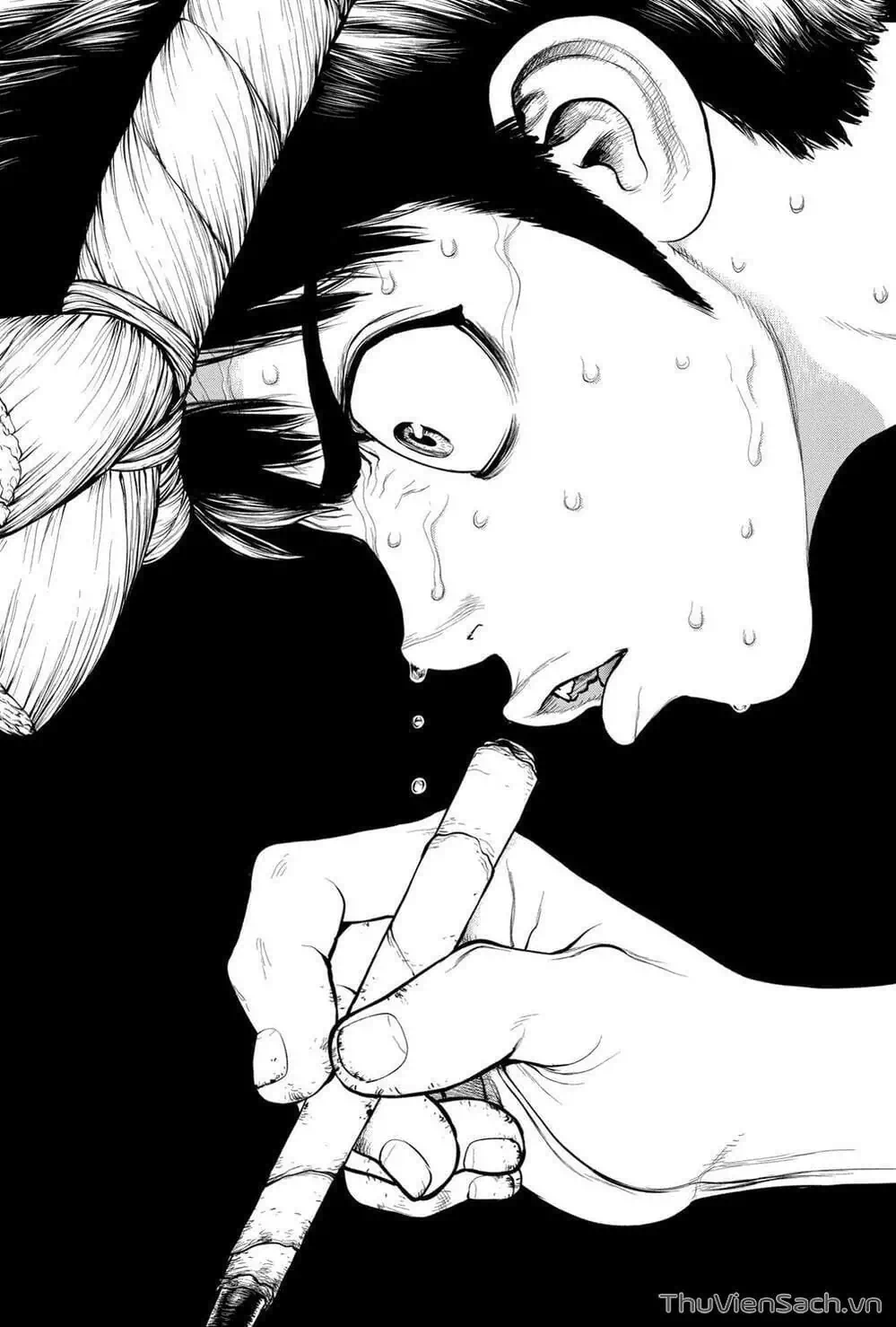 Truyện Tranh Dr. Stone - Hồi Sinh Thế Giới trang 3