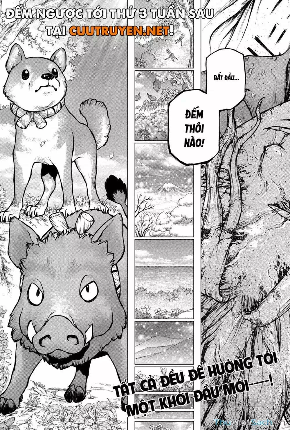 Truyện Tranh Dr. Stone - Hồi Sinh Thế Giới trang 3