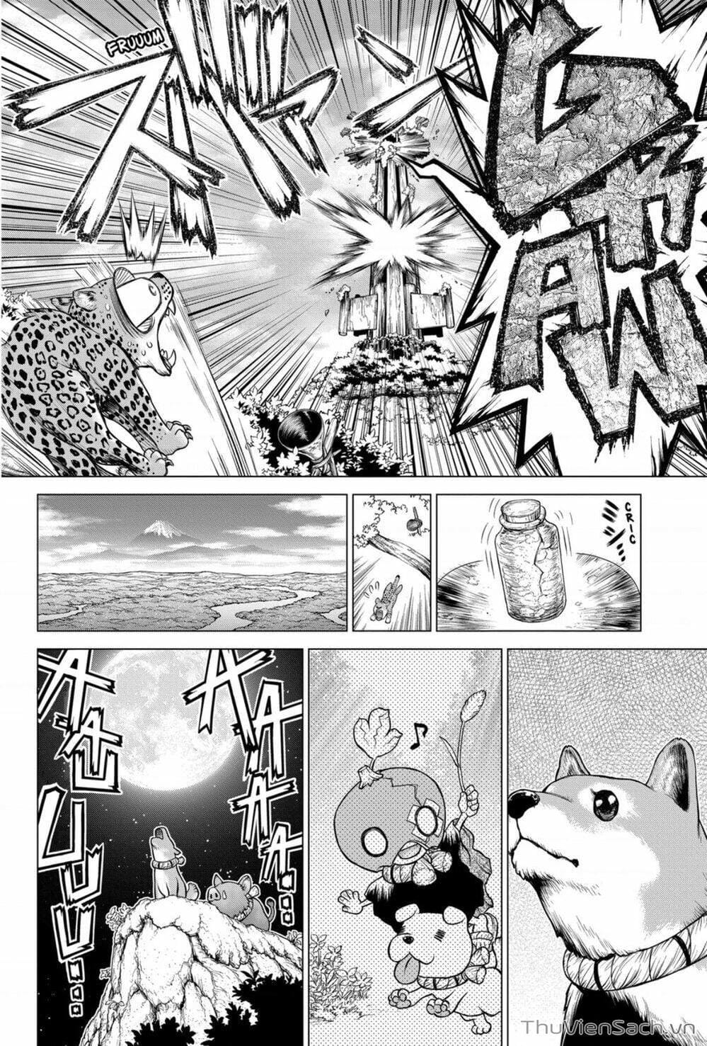 Truyện Tranh Dr. Stone - Hồi Sinh Thế Giới trang 3