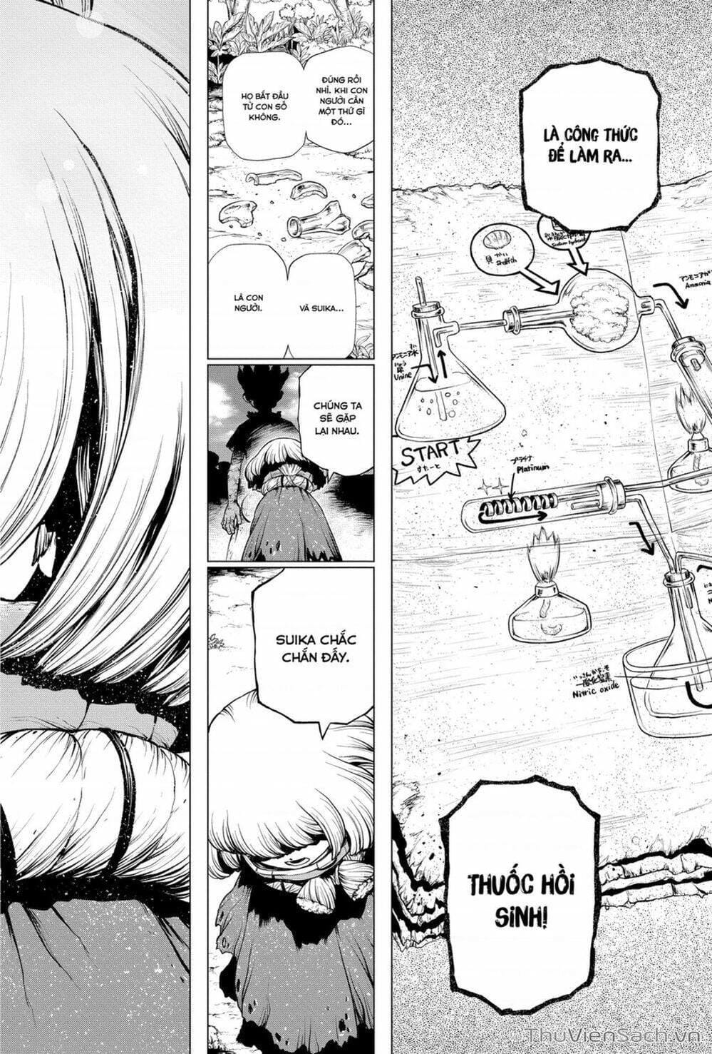 Truyện Tranh Dr. Stone - Hồi Sinh Thế Giới trang 3