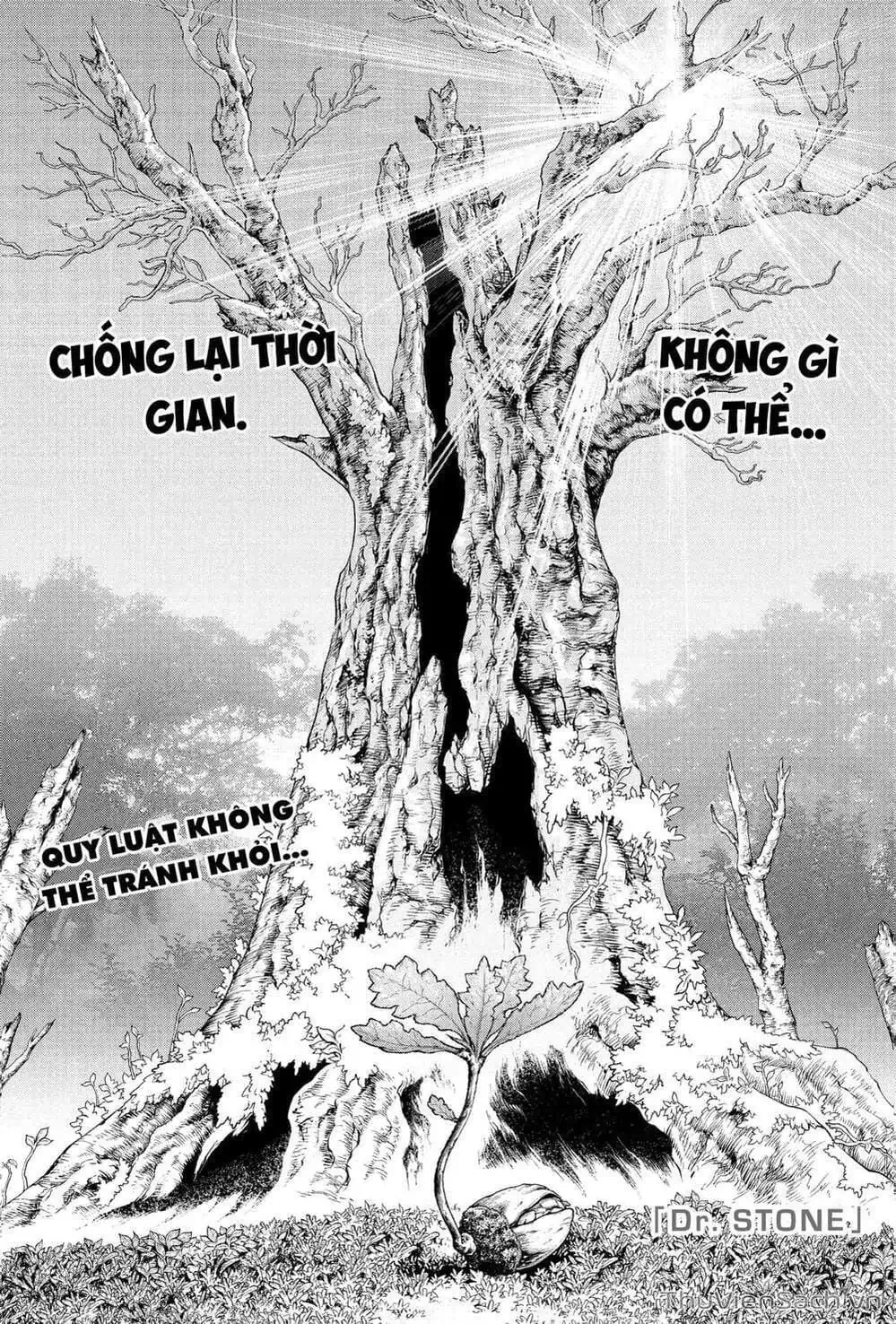 Truyện Tranh Dr. Stone - Hồi Sinh Thế Giới trang 3