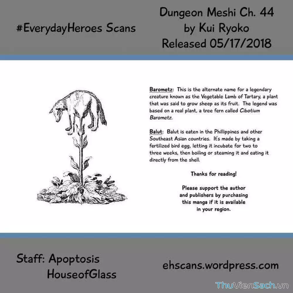 Truyện Tranh Mỹ Vị Hầm Ngục - Dungeon Meshi trang 4