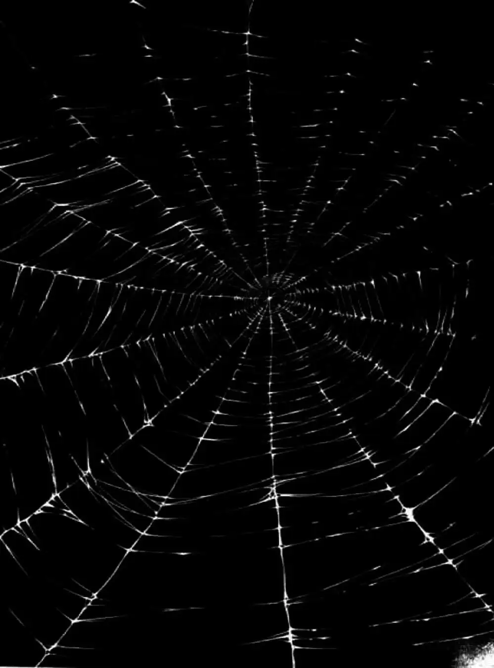 Truyện Tranh Ngọn Lửa Recca - Flame Of Recca trang 9