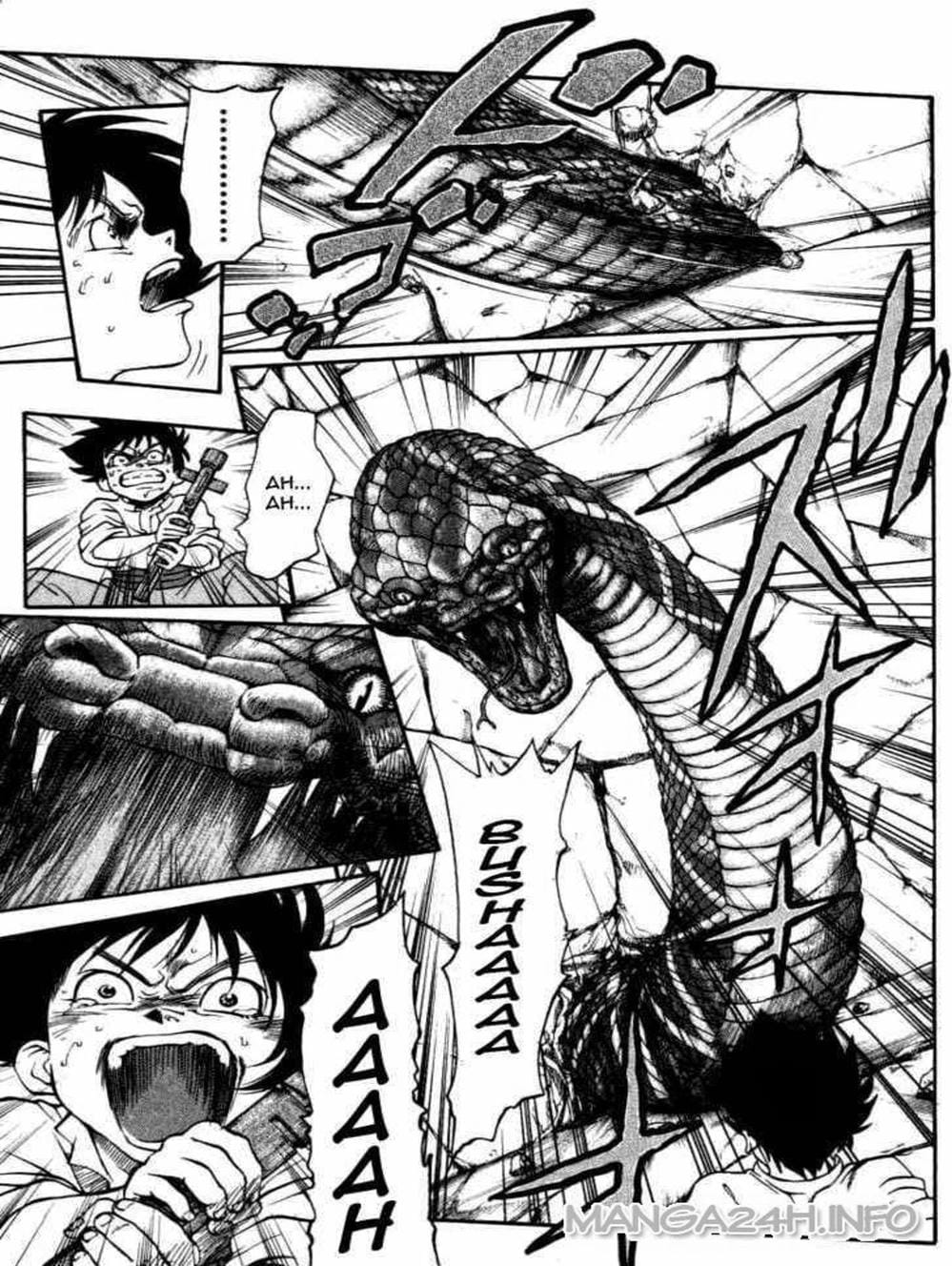 Truyện Tranh Vua Trên Biển - Full Ahead Coco trang 4