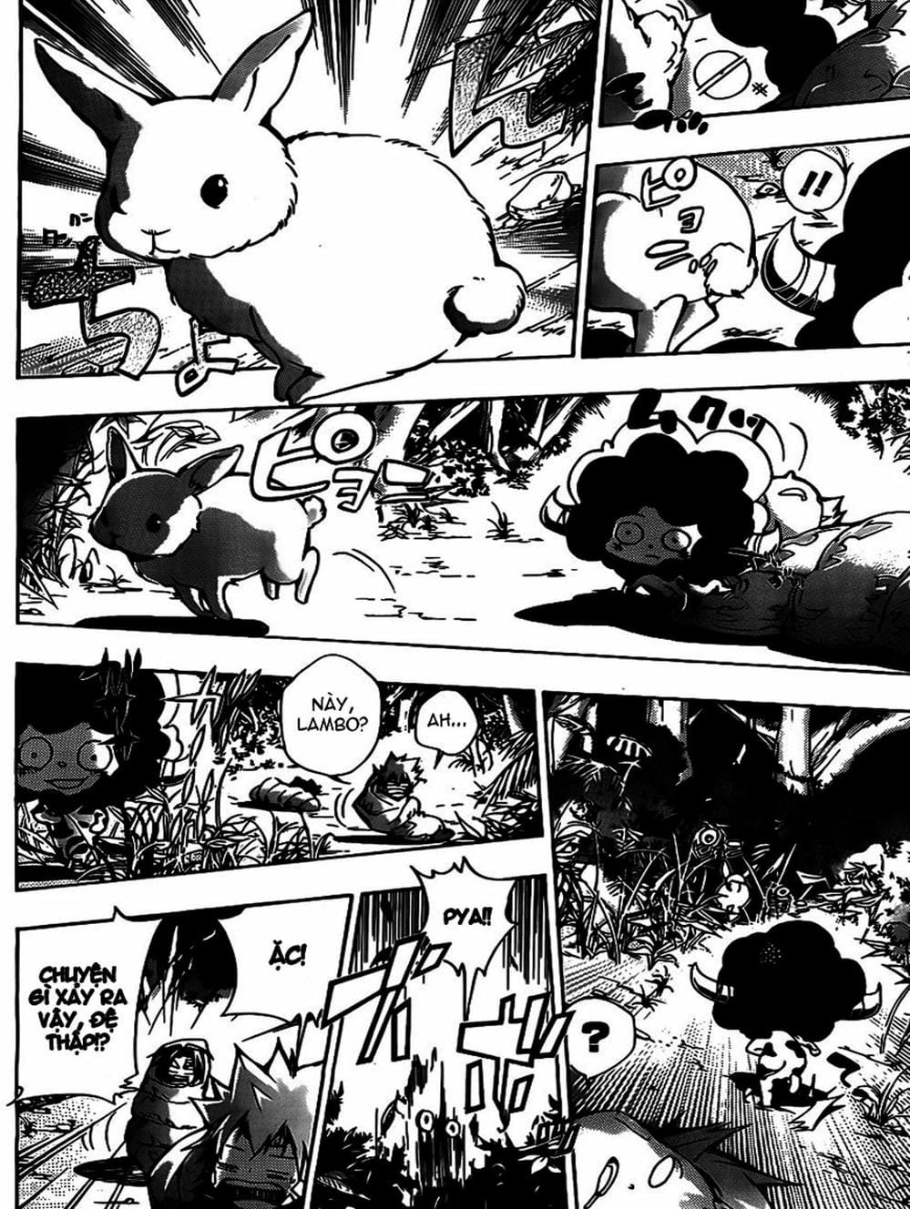 Truyện Tranh Gia Sư Hitman Reborn trang 6