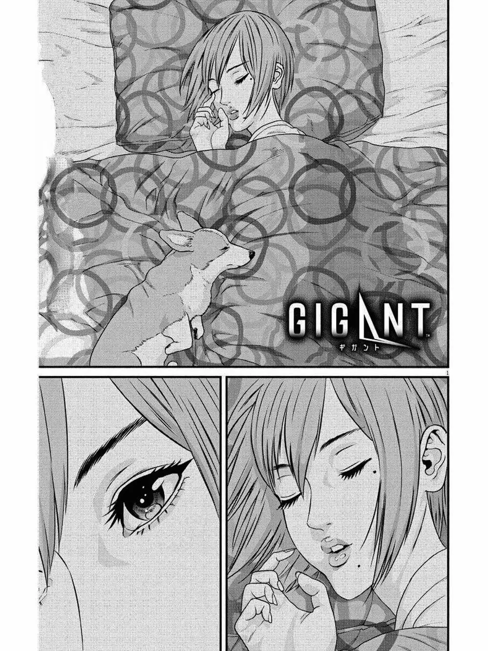 Truyện Tranh Người Khổng Lồ - Gigant trang 7