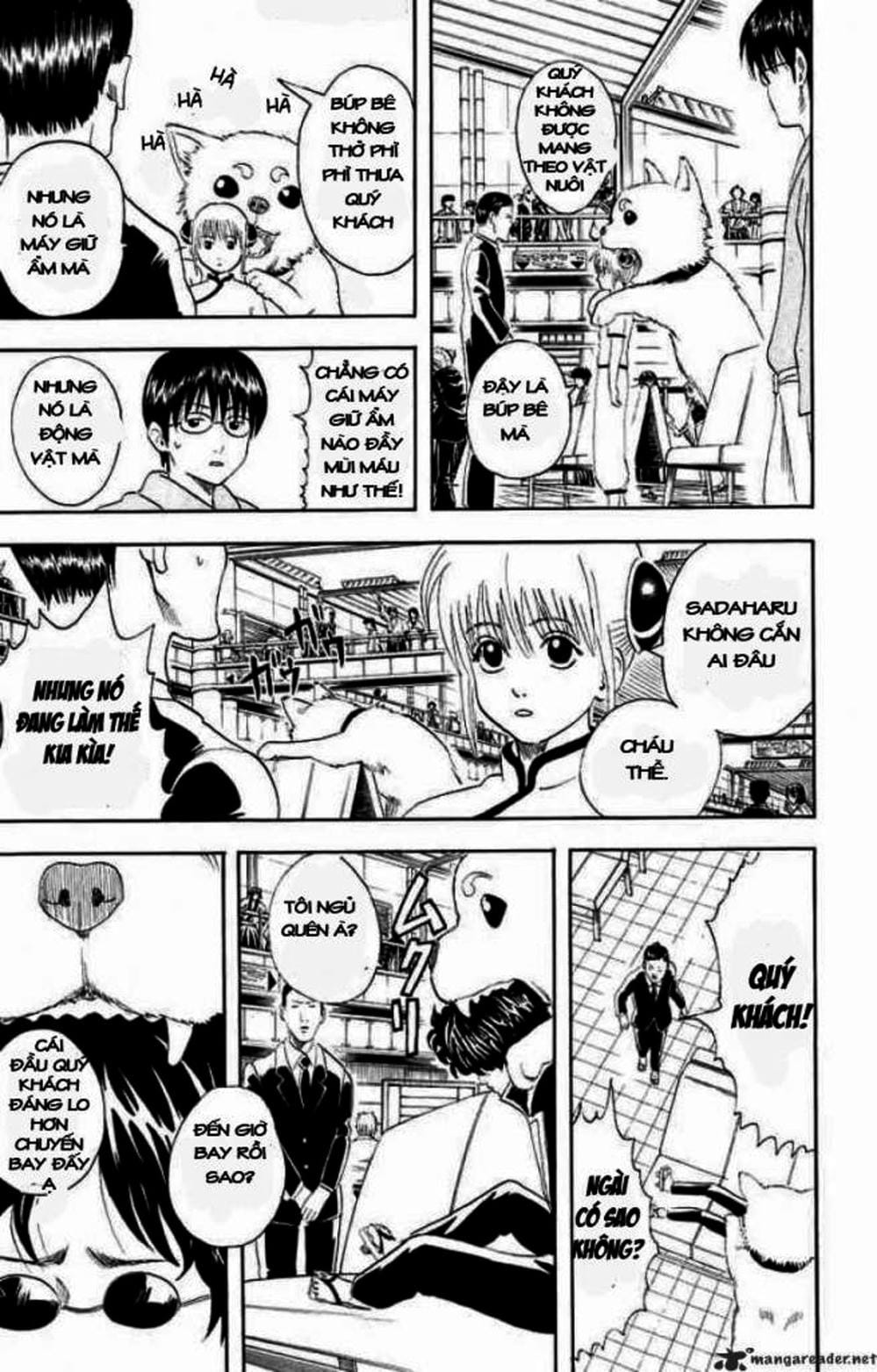 Truyện Tranh Gintama Linh Hồn Bạc: Luật Lệ Đặt Ra Là Để Phá Bỏ trang 7
