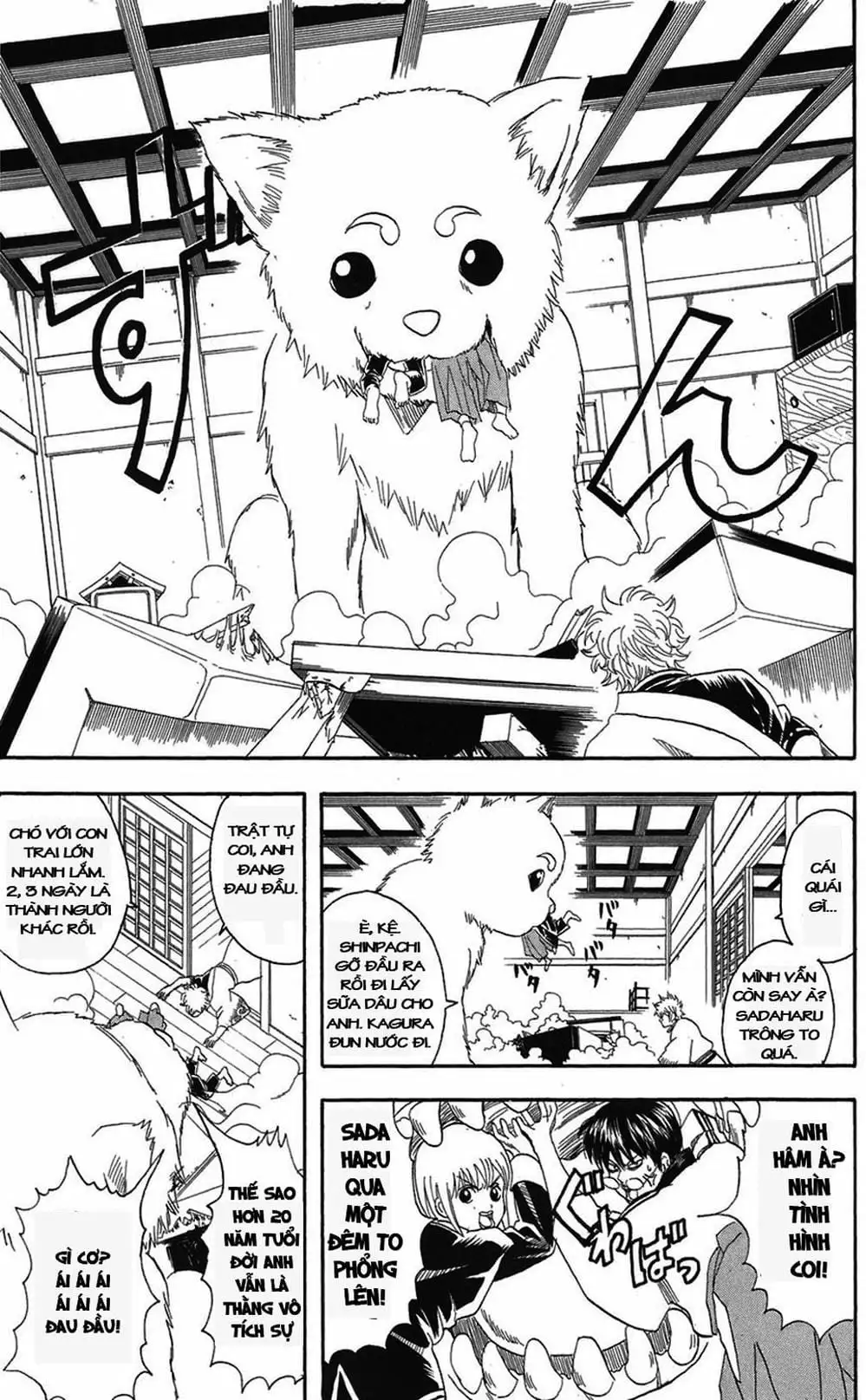 Truyện Tranh Gintama Linh Hồn Bạc: Luật Lệ Đặt Ra Là Để Phá Bỏ trang 7