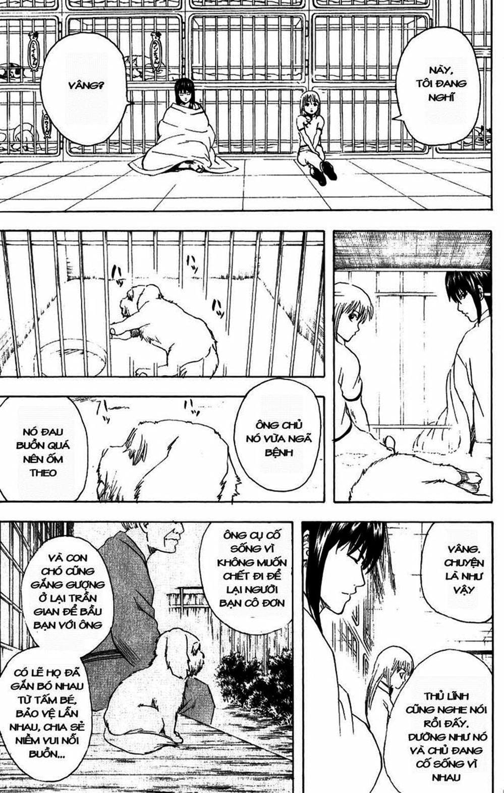 Truyện Tranh Gintama Linh Hồn Bạc: Luật Lệ Đặt Ra Là Để Phá Bỏ trang 7