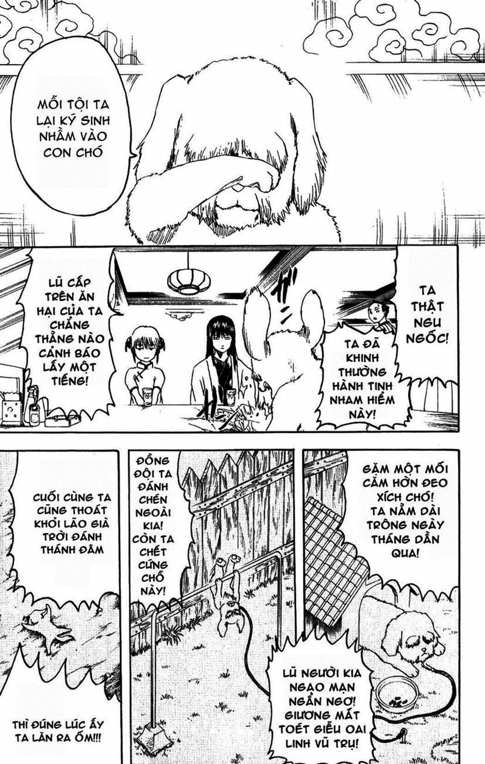 Truyện Tranh Gintama Linh Hồn Bạc: Luật Lệ Đặt Ra Là Để Phá Bỏ trang 7