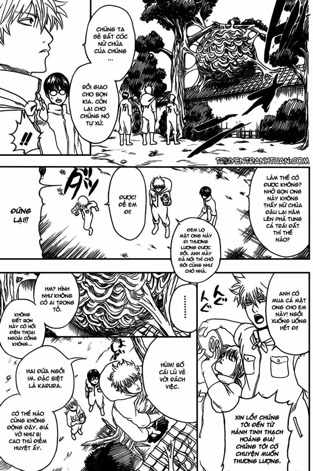 Truyện Tranh Gintama Linh Hồn Bạc: Luật Lệ Đặt Ra Là Để Phá Bỏ trang 7
