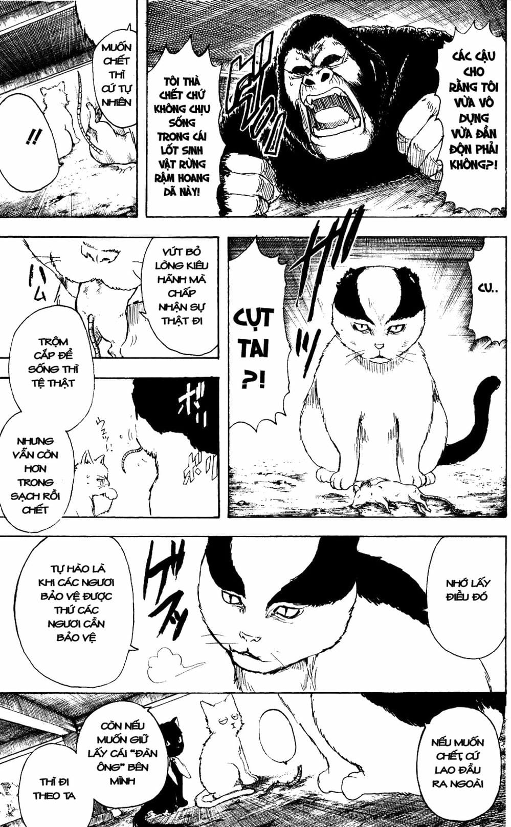 Truyện Tranh Gintama Linh Hồn Bạc: Luật Lệ Đặt Ra Là Để Phá Bỏ trang 7