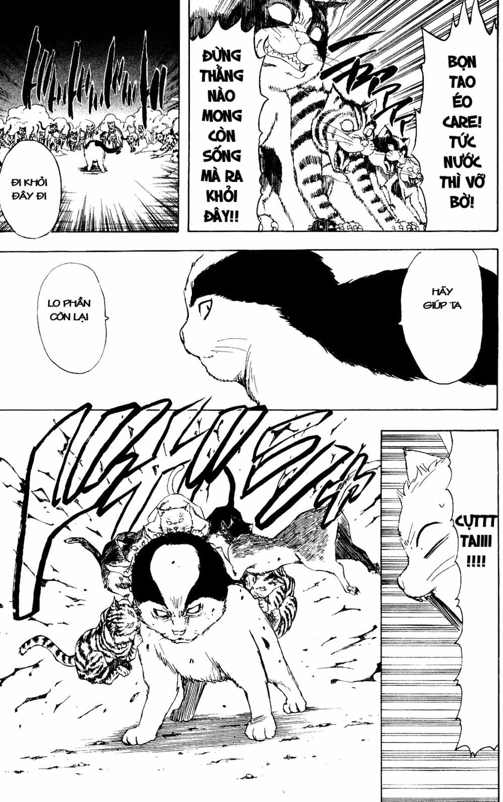 Truyện Tranh Gintama Linh Hồn Bạc: Luật Lệ Đặt Ra Là Để Phá Bỏ trang 7