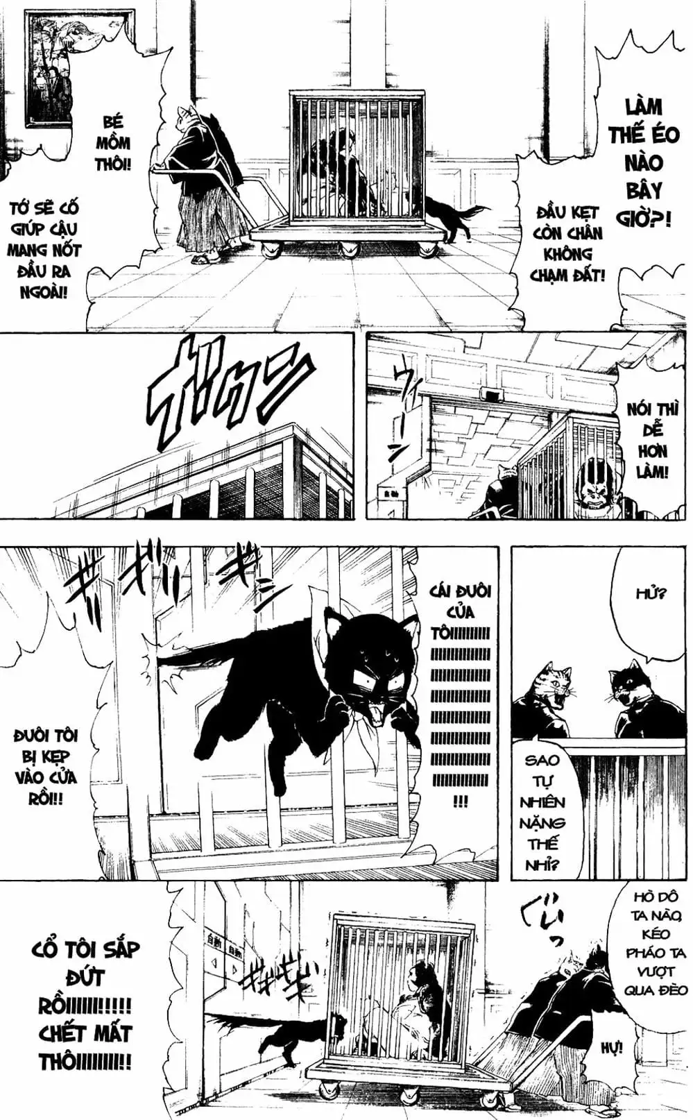 Truyện Tranh Gintama Linh Hồn Bạc: Luật Lệ Đặt Ra Là Để Phá Bỏ trang 7