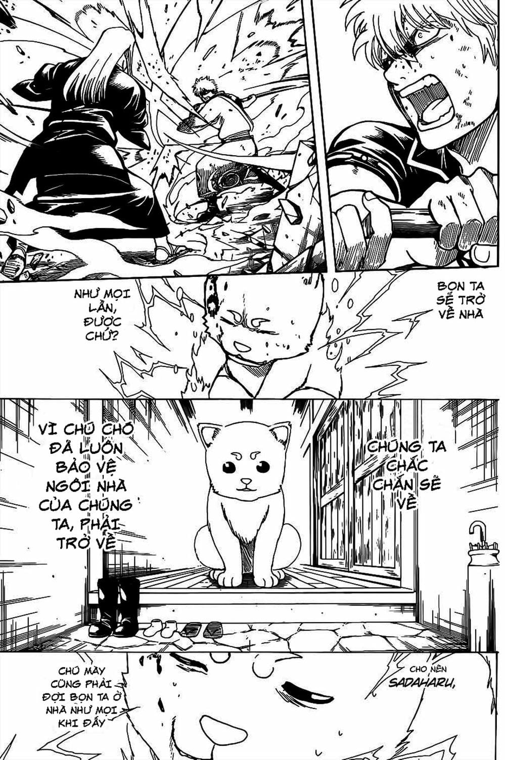Truyện Tranh Gintama Linh Hồn Bạc: Luật Lệ Đặt Ra Là Để Phá Bỏ trang 7