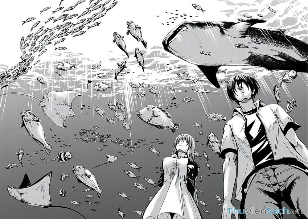 Truyện Tranh Cô Gái Thích Lặn - Grand Blue trang 3