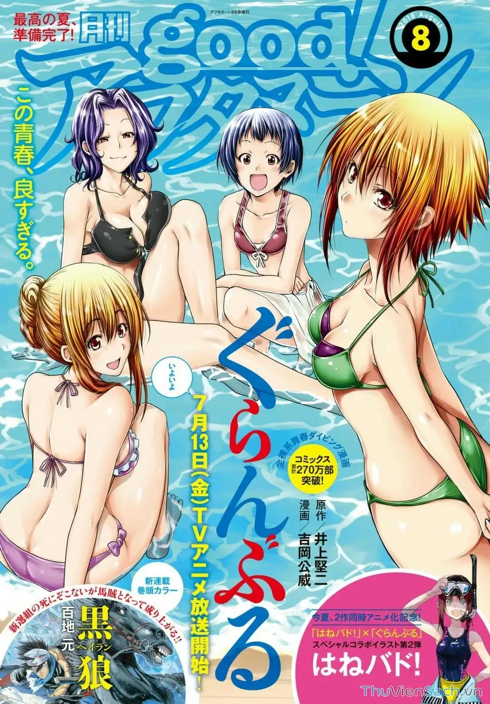 Truyện Tranh Cô Gái Thích Lặn - Grand Blue trang 3