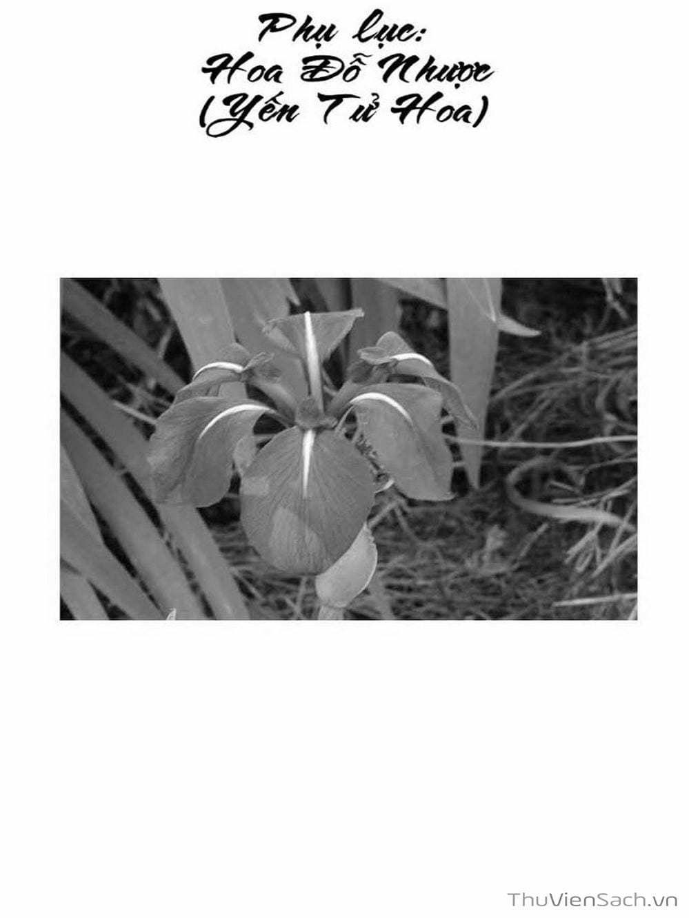 Truyện Tranh Con Đường Của Sát Thủ - Hanzou No Mon trang 6