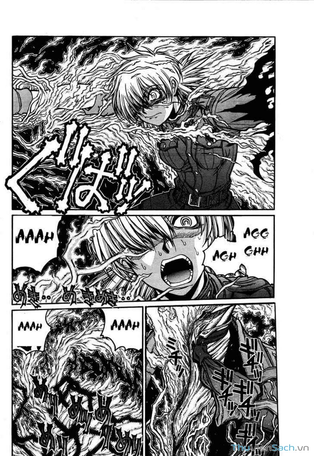 Truyện Tranh Kinh Tởm - Hellsing trang 7