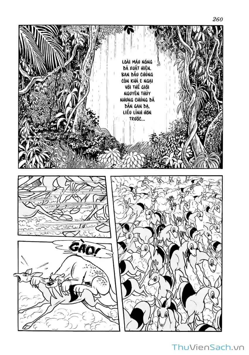 Truyện Tranh Phượng Hoàng - Phoenix trang 7