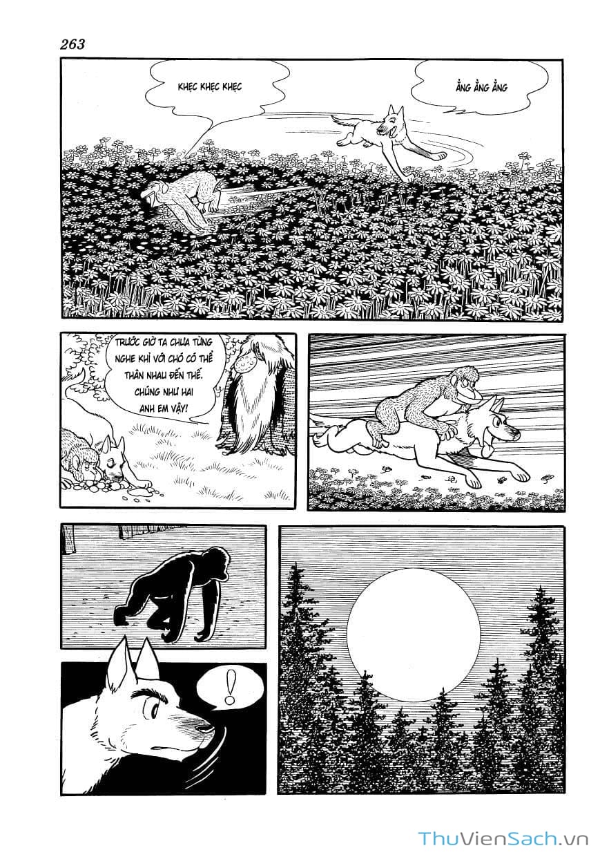 Truyện Tranh Phượng Hoàng - Phoenix trang 7