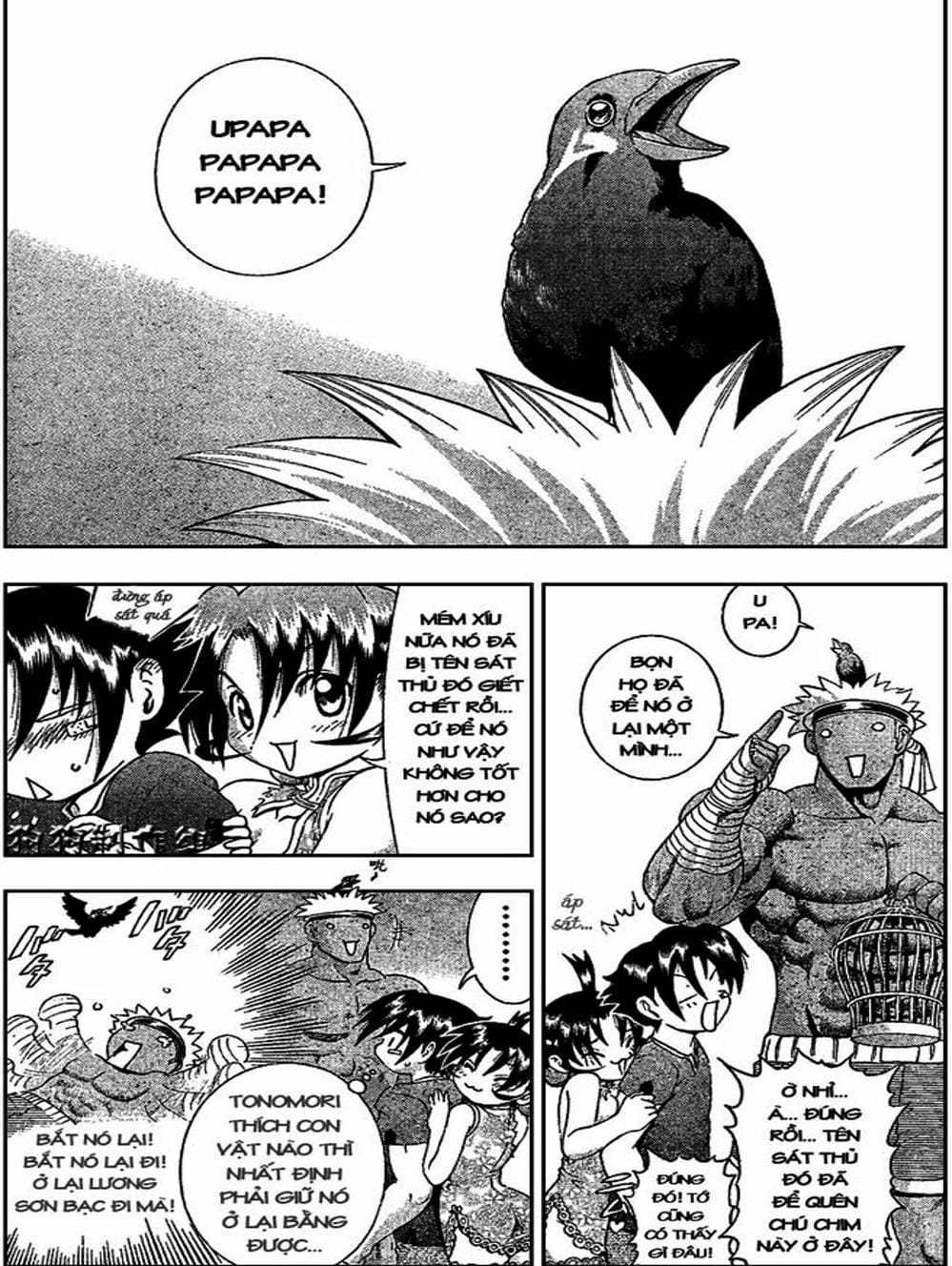 Truyện Tranh Kenichi Võ Sĩ Mạnh Nhất - History’s Strongest Disciple Kenichi trang 5