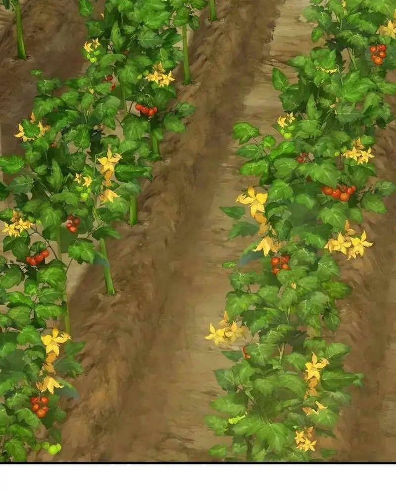 Truyện Tranh Làm Nông Dân Trong Tòa Tháp Thử Thách trang 5