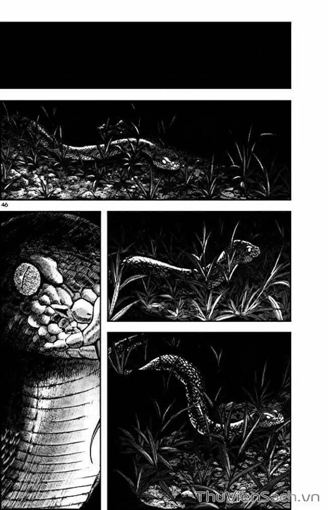 Truyện Tranh Long Phi Bất Bại trang 4