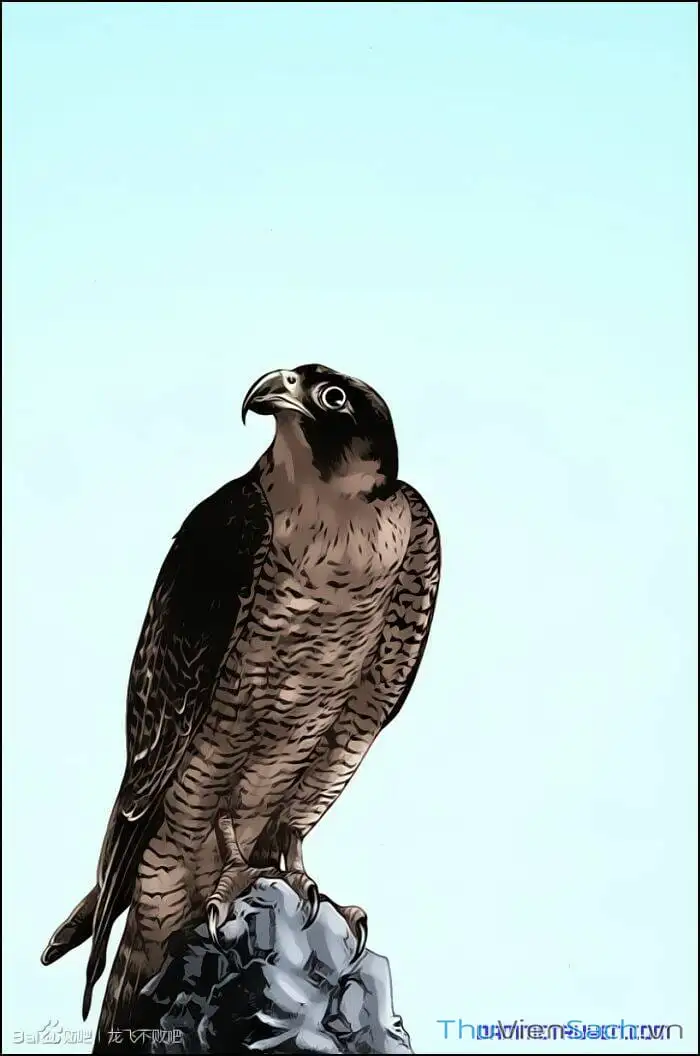 Truyện Tranh Long Phi Bất Bại trang 4