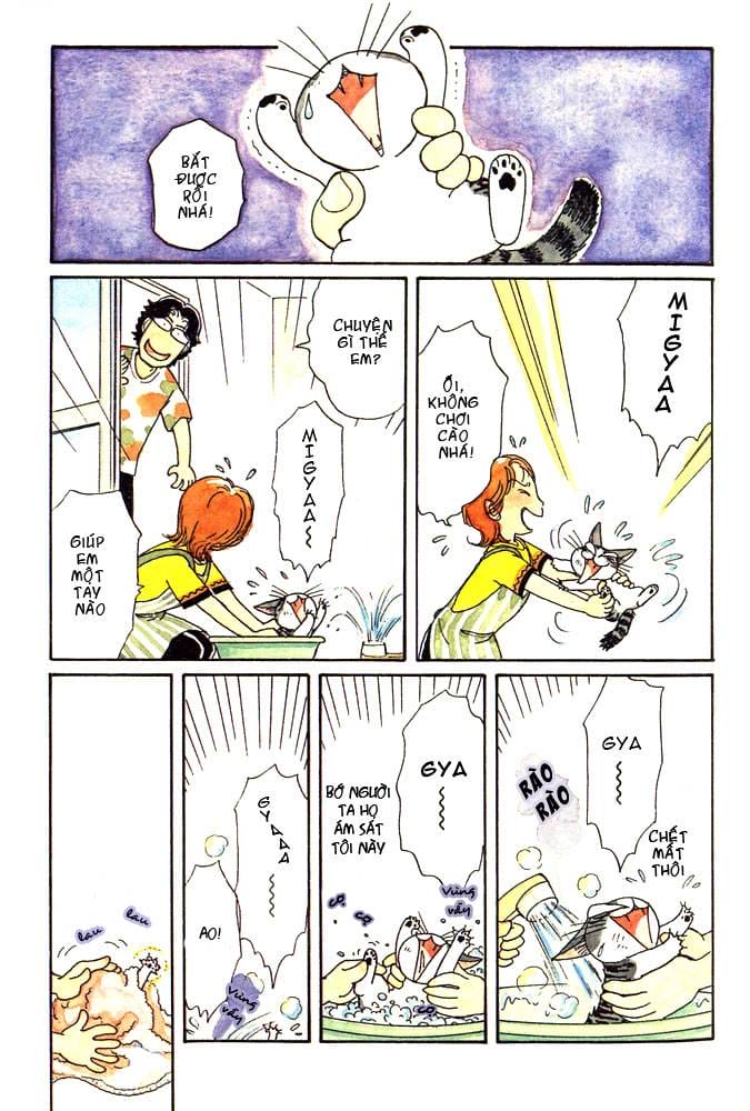 Truyện Tranh Mái Ấm Của Chi - Chii’s Sweet Home trang 3