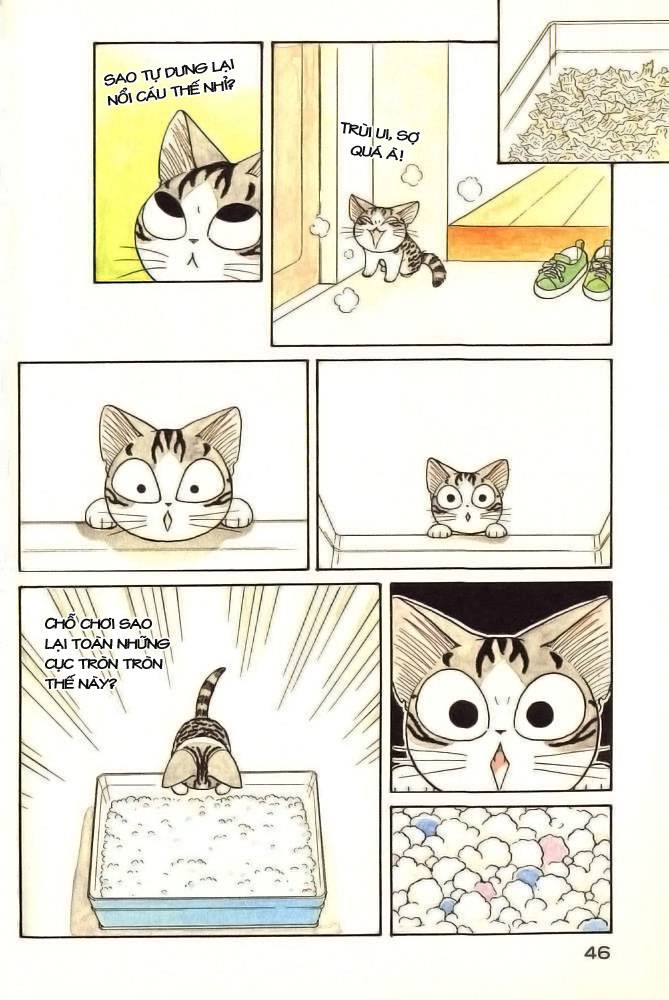 Truyện Tranh Mái Ấm Của Chi - Chii’s Sweet Home trang 3