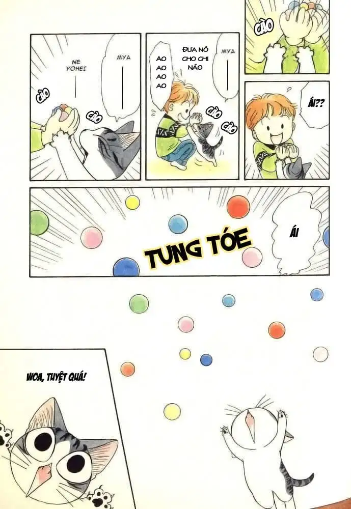 Truyện Tranh Mái Ấm Của Chi - Chii’s Sweet Home trang 3