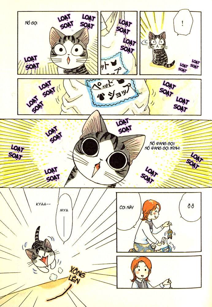 Truyện Tranh Mái Ấm Của Chi - Chii’s Sweet Home trang 3