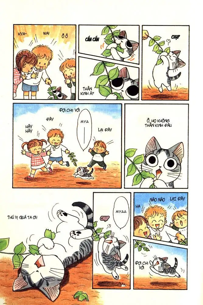 Truyện Tranh Mái Ấm Của Chi - Chii’s Sweet Home trang 3