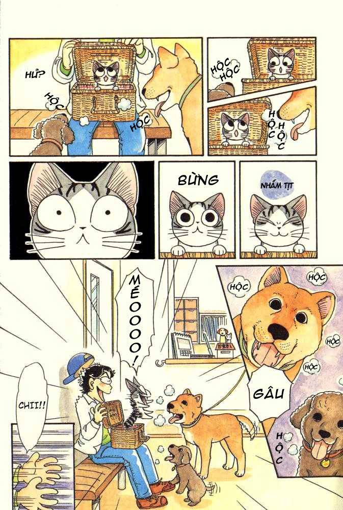 Truyện Tranh Mái Ấm Của Chi - Chii’s Sweet Home trang 3