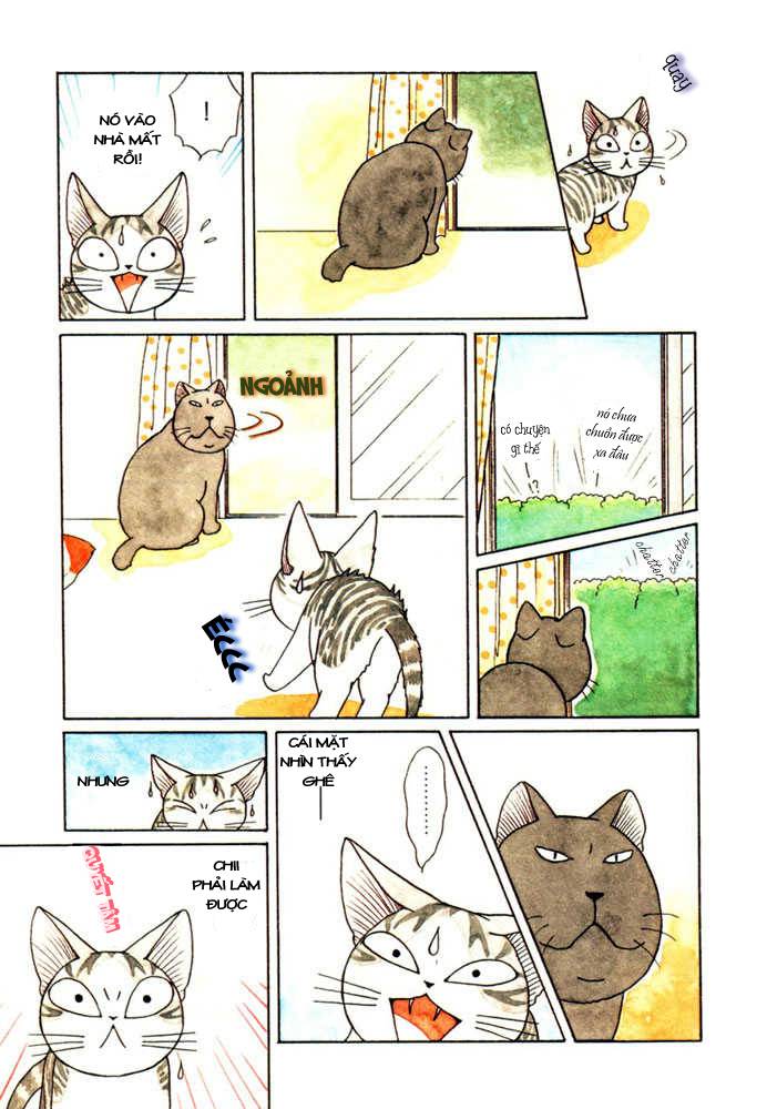 Truyện Tranh Mái Ấm Của Chi - Chii’s Sweet Home trang 3