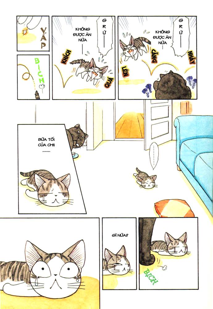 Truyện Tranh Mái Ấm Của Chi - Chii’s Sweet Home trang 3