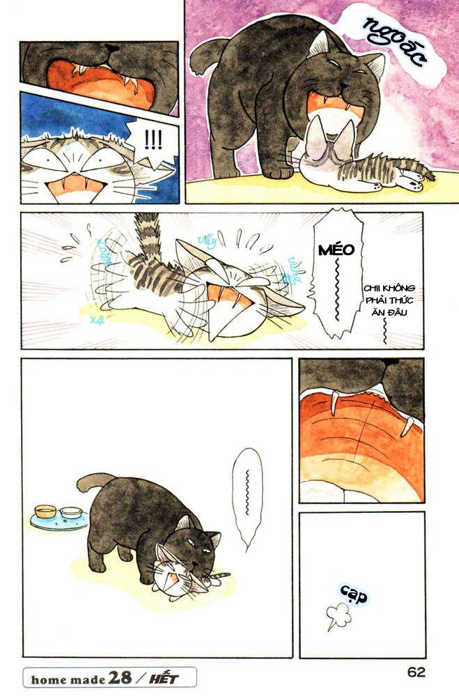 Truyện Tranh Mái Ấm Của Chi - Chii’s Sweet Home trang 3