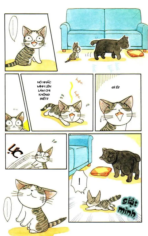 Truyện Tranh Mái Ấm Của Chi - Chii’s Sweet Home trang 3