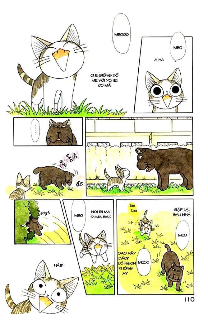 Truyện Tranh Mái Ấm Của Chi - Chii’s Sweet Home trang 3