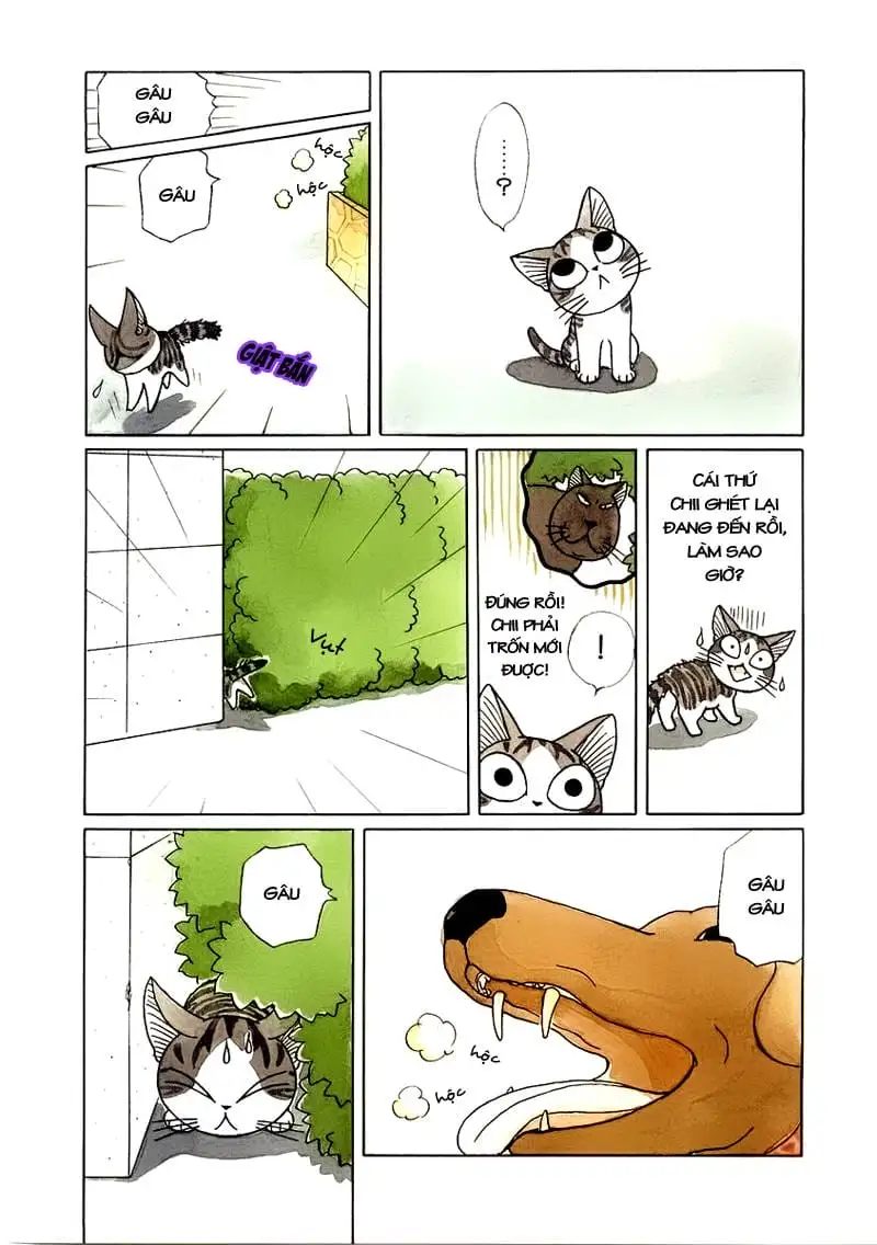 Truyện Tranh Mái Ấm Của Chi - Chii’s Sweet Home trang 3