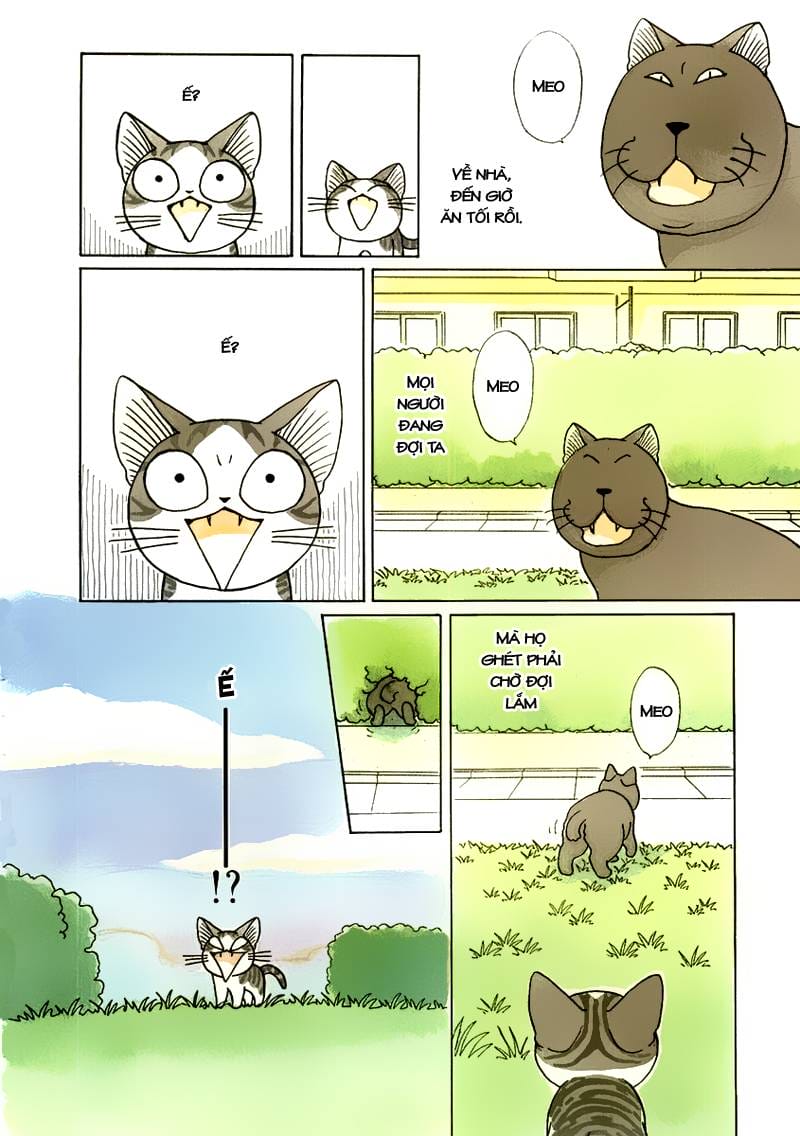 Truyện Tranh Mái Ấm Của Chi - Chii’s Sweet Home trang 3