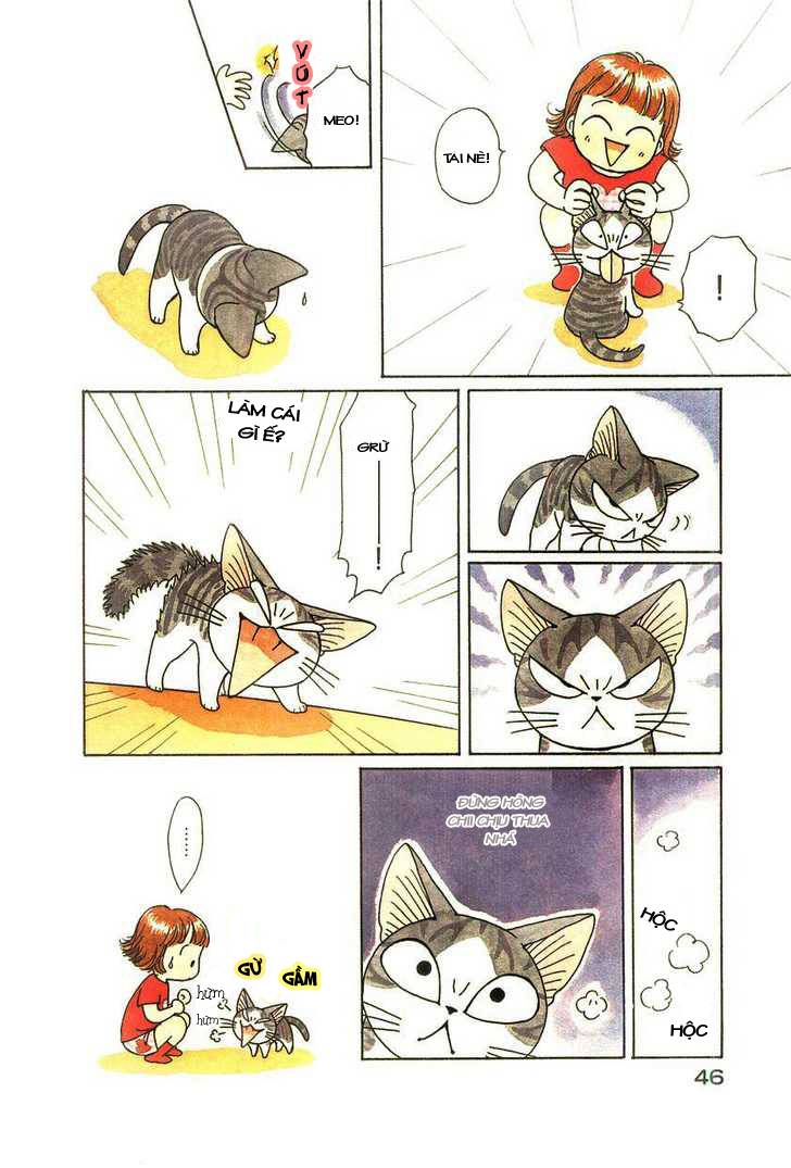 Truyện Tranh Mái Ấm Của Chi - Chii’s Sweet Home trang 3