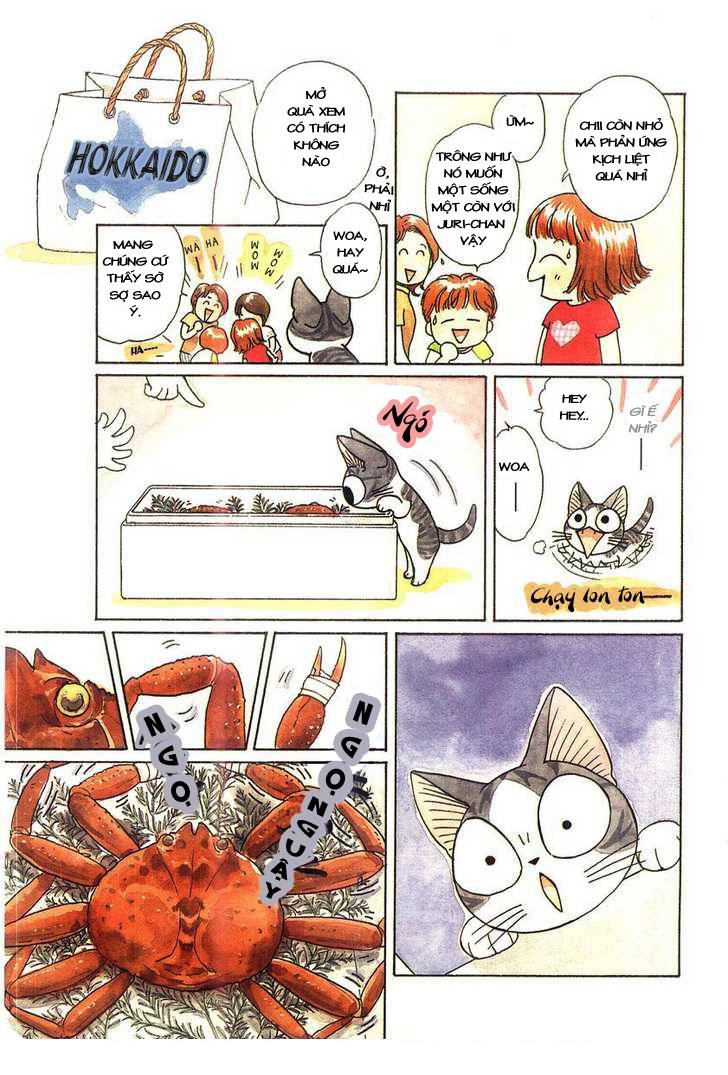 Truyện Tranh Mái Ấm Của Chi - Chii’s Sweet Home trang 3