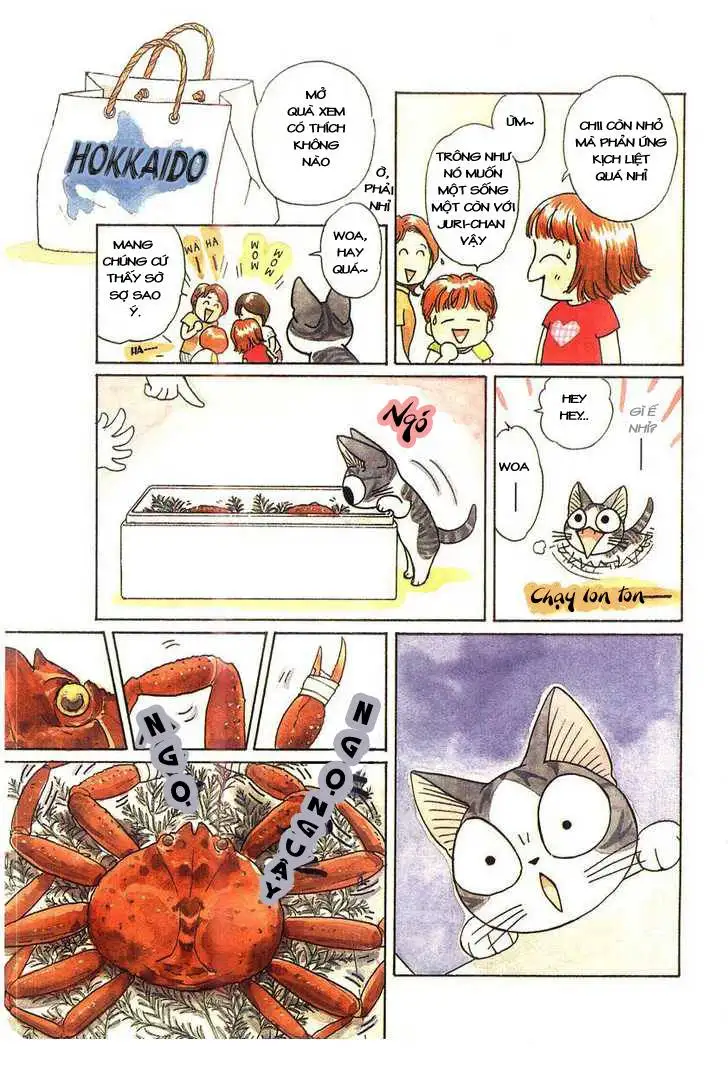 Truyện Tranh Mái Ấm Của Chi - Chii’s Sweet Home trang 3