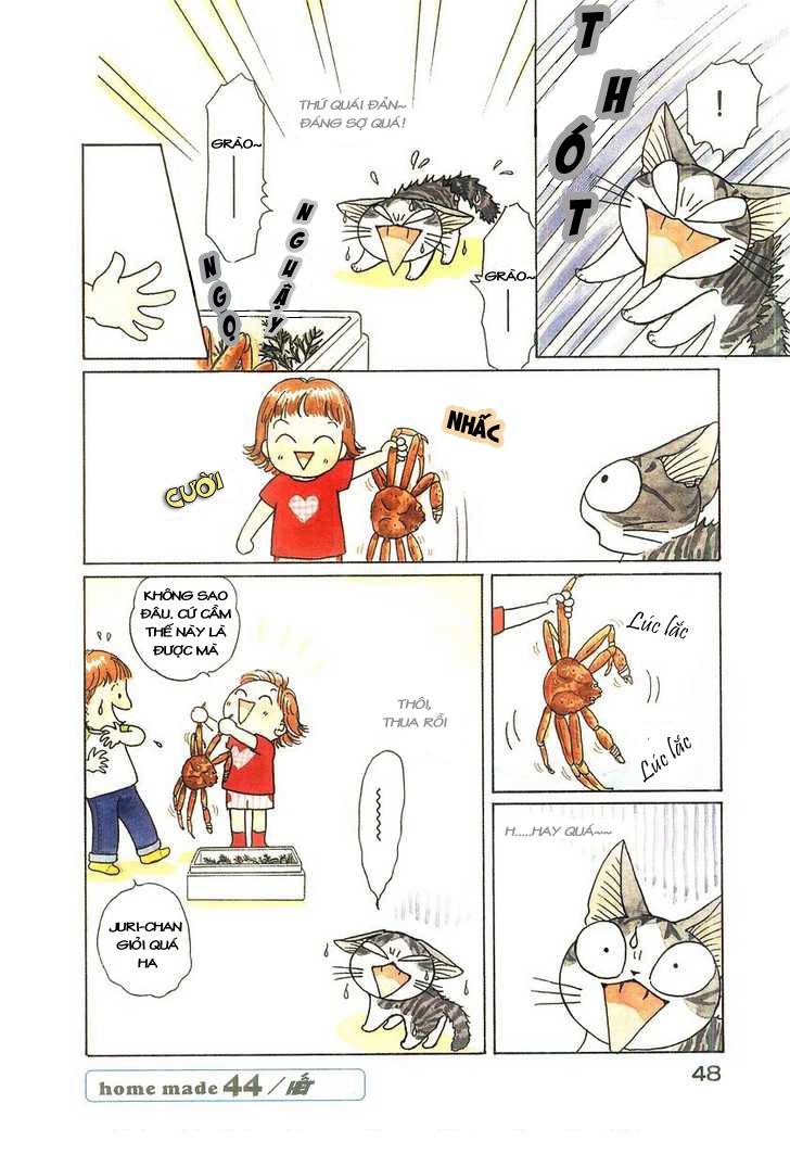 Truyện Tranh Mái Ấm Của Chi - Chii’s Sweet Home trang 3