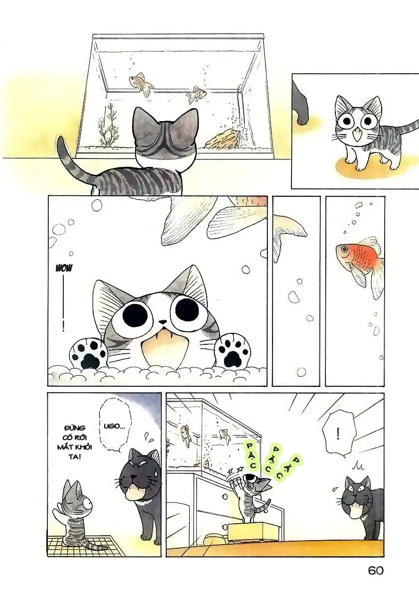 Truyện Tranh Mái Ấm Của Chi - Chii’s Sweet Home trang 3